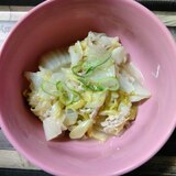 白菜と豚バラの食べるスープ